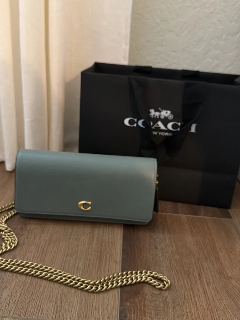 Coach Green Leather Crossbody Wallet with Gold Chain